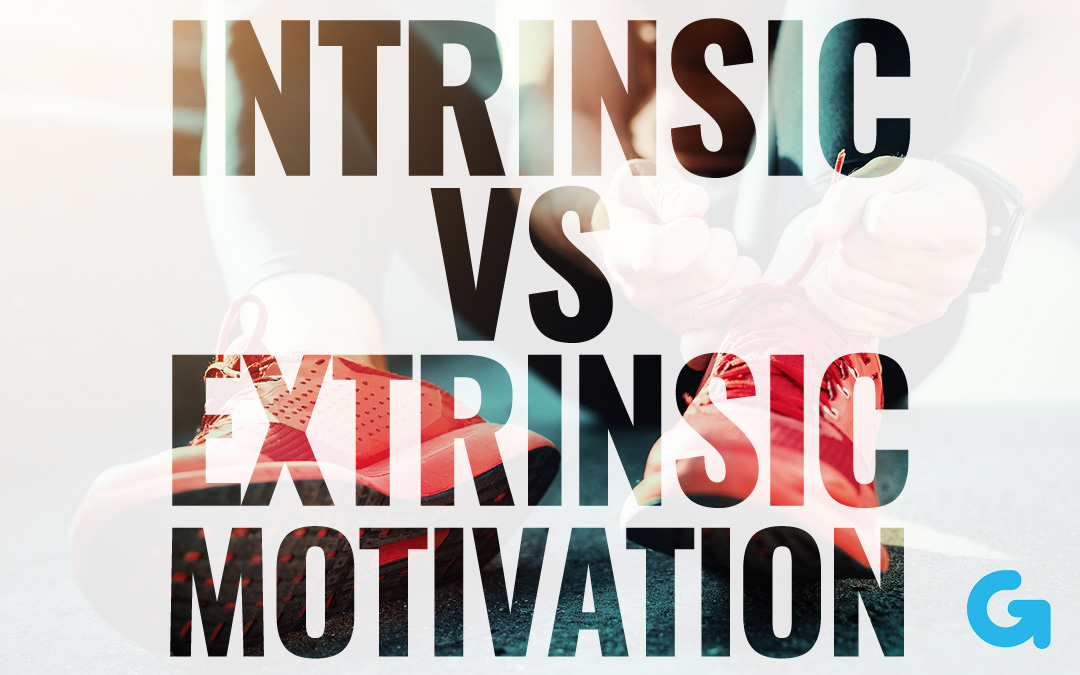 Intrinsic V Extrinsic Motivation